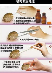 酒精在身体里做了什么