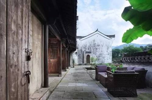 堂兄弟齐心，共筑家族新梦——七人花200万翻建老宅纪实