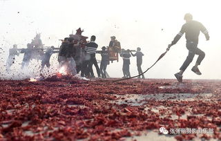 摄影师拍摄潮汕民俗活动意外被撞飞